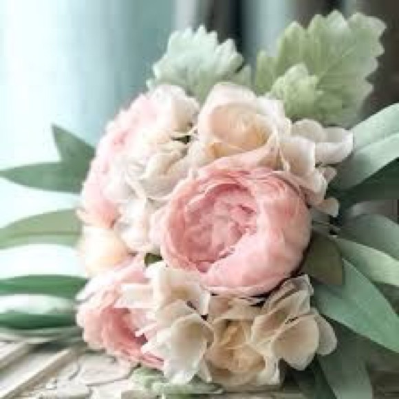 Meet your Posher, Shugoofa - Picture 1 of 1